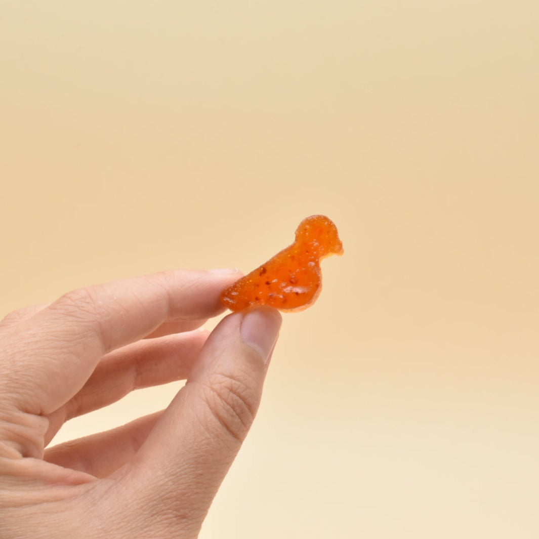 Pack BonsBecs aux fruits