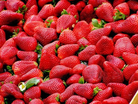 Les Délices Rouges : Découvrez les Avantages Savoureux de la Consommation de Fraises